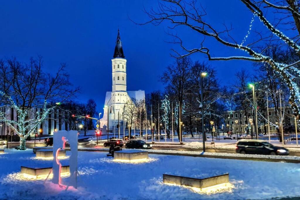 Lyra63 Large 80Sq M Top 14 Floor Šiauliai Exteriör bild